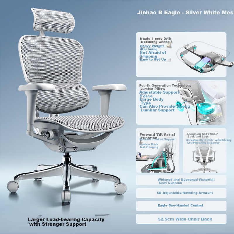 Ergonor Baoying Ergonomic Gaming Chair