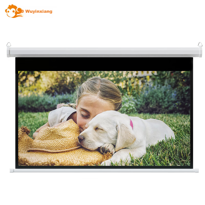 Wuyinxiang 120" Electric Projection Screen
