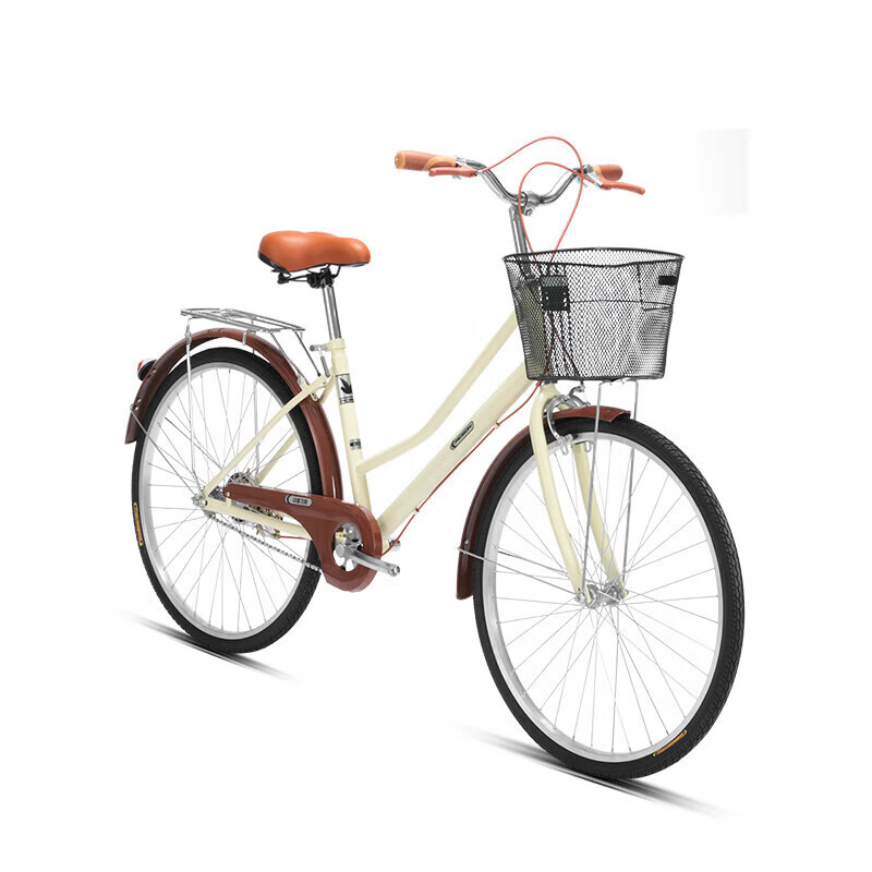 FG Flying Pigeon Commuter Bike