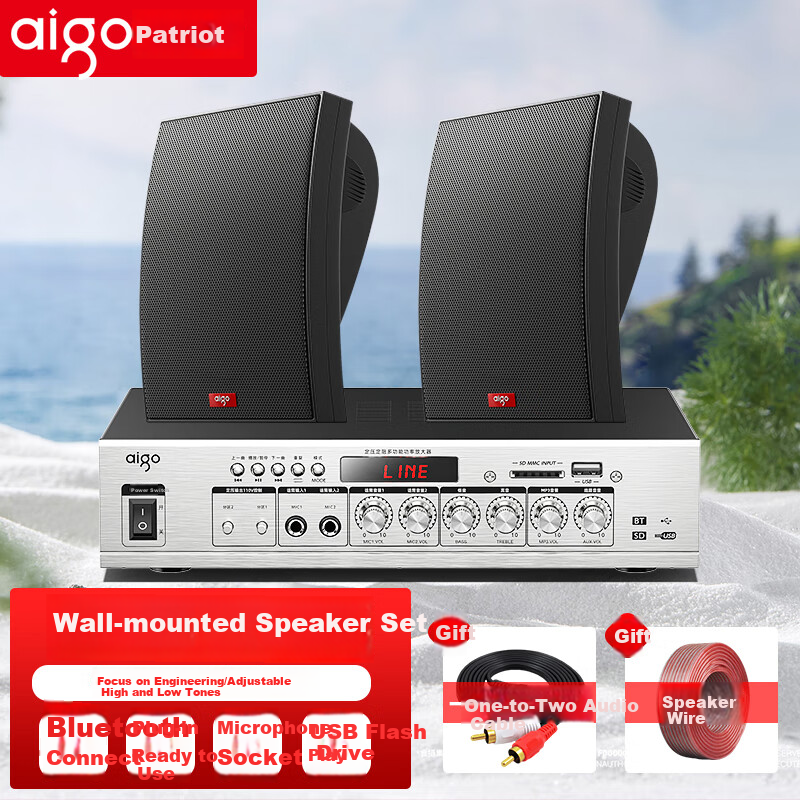 Aiguozhe 150W Wall-Mounted Speaker System