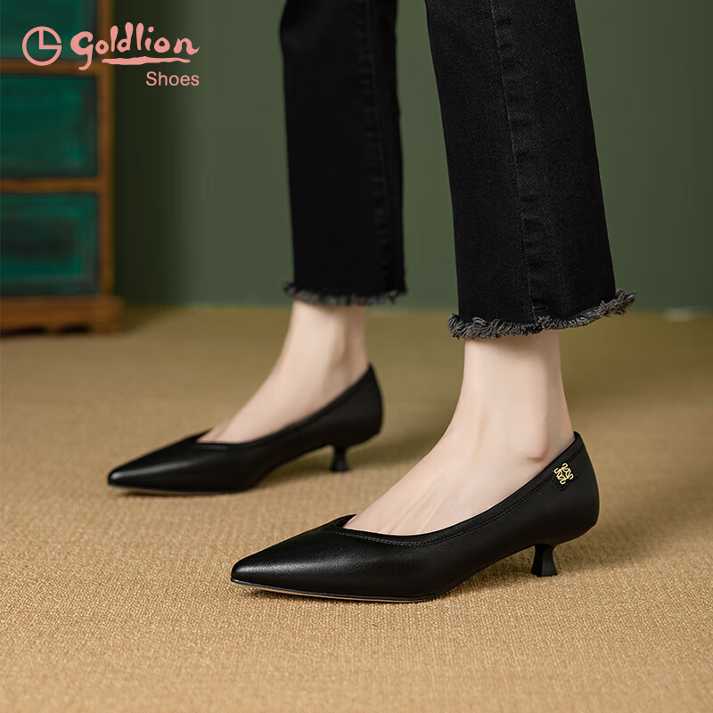 Goldlion Women's French Pointed Toe Stiletto Heels