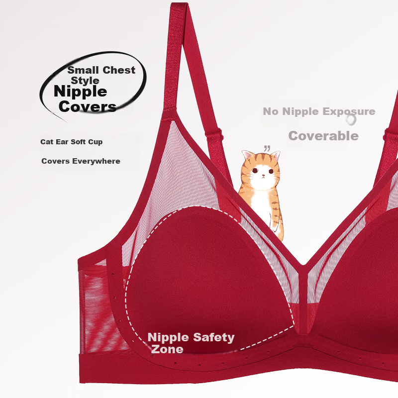 Aimer Red Small Cup Bra Set