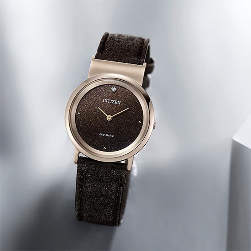 CITIZEN Women's Eco-Drive Gold Dial Watch
