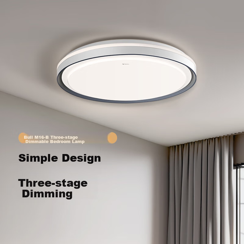BULL LED Ceiling Light - 48W Silver Edge