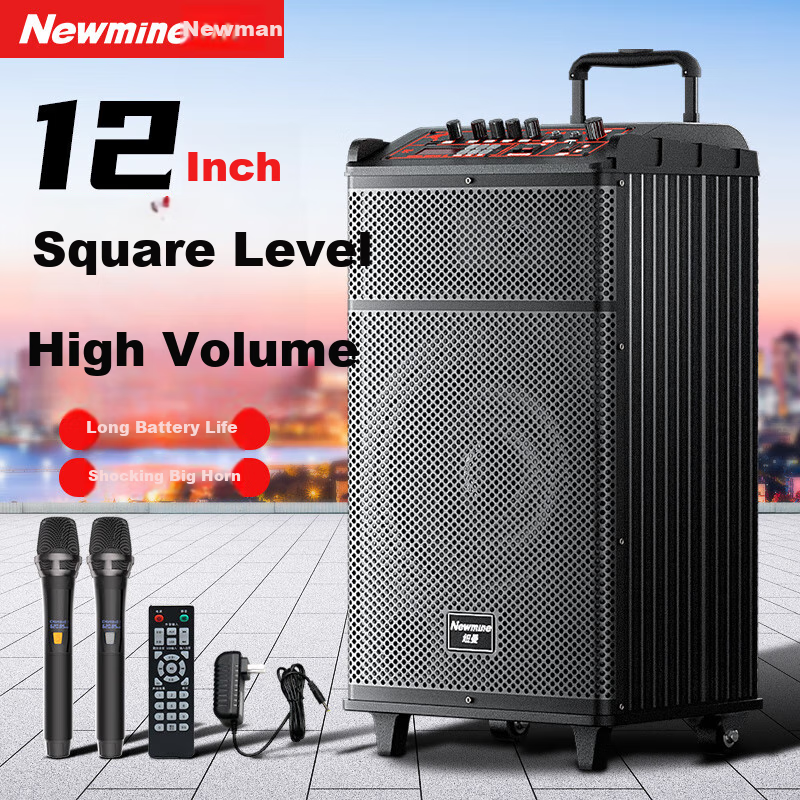 Newmine N521 Square Dance Speaker