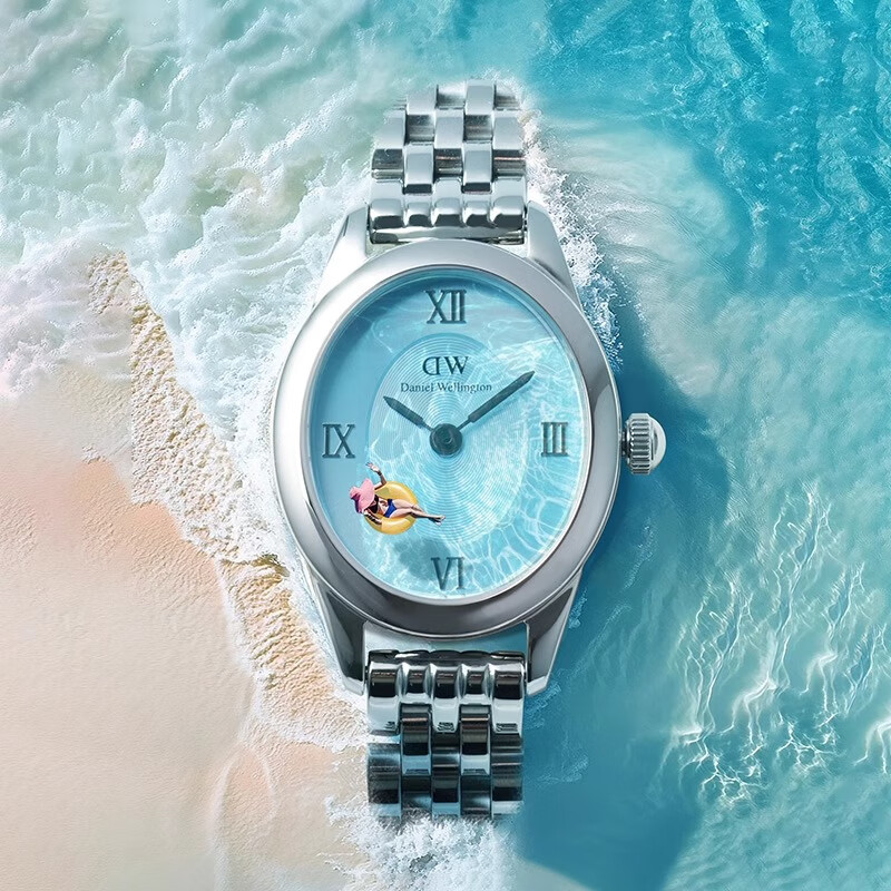 DanielWellington Vintage Oval Elegant Chain Ladies Watch