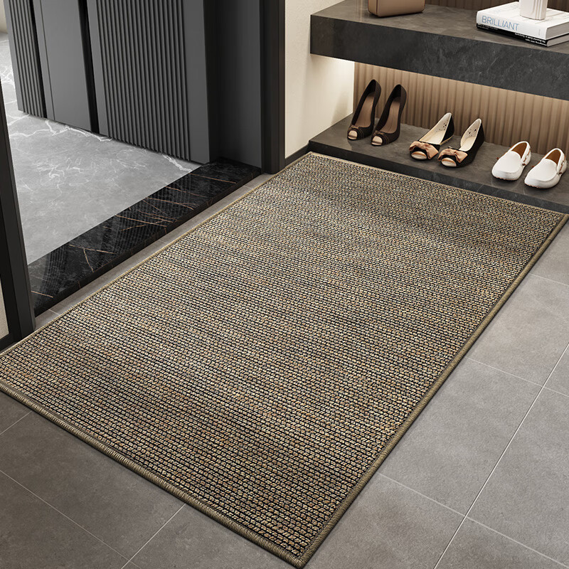 DeXi Entrance Door Mat 2025