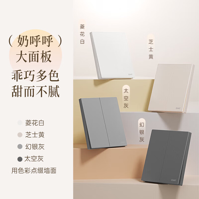 CHNT Cream Computer Socket - Large Panel Concealed