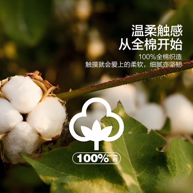 Shuixingjiafang Pure Cotton Bed Sheet