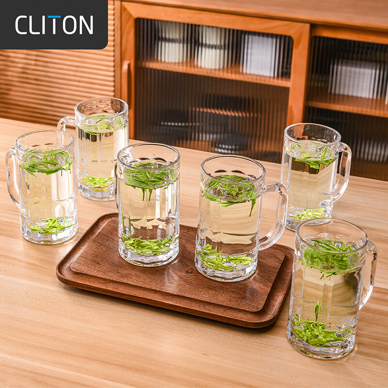 CLITON Glass Cups with Handles - Set of 6