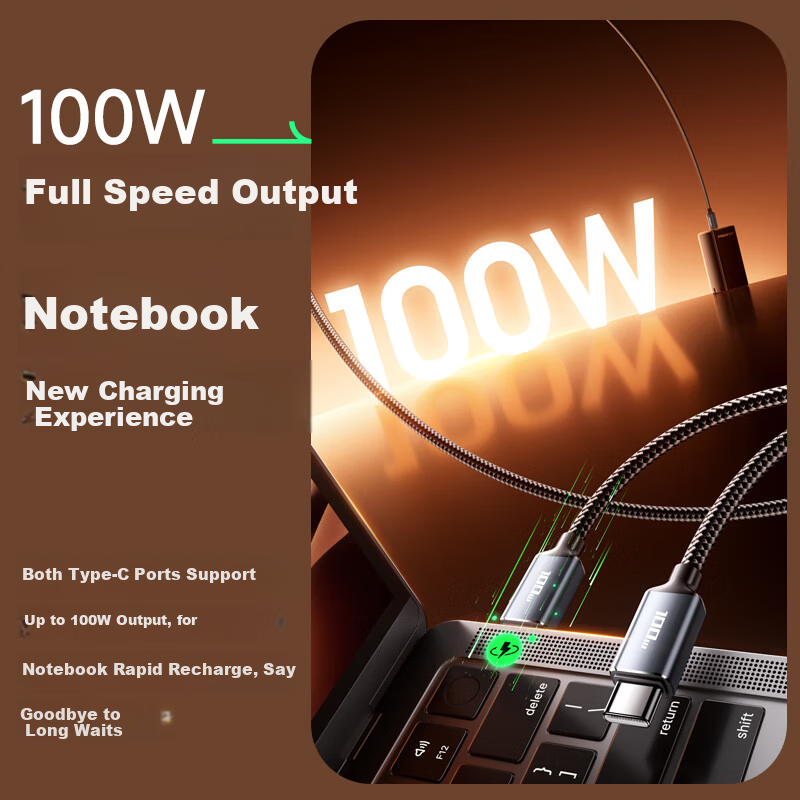 PISEN Dual Type-C Data Cable, 100W Fast Charging