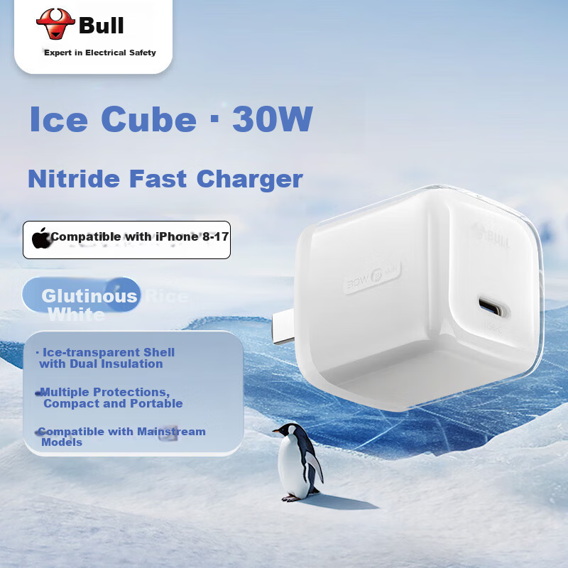 Bull 30W GaN Ice Cube Fast Charger