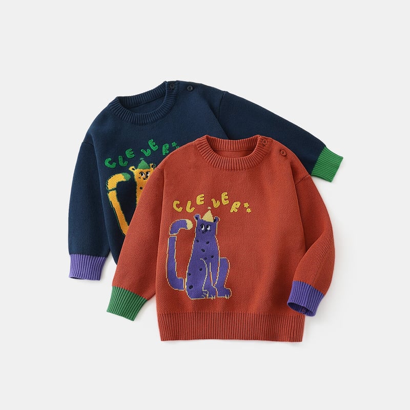 Ciciibear Anti-Pilling Boys' Sweater