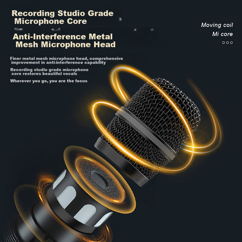 BBS Wireless Dual Microphone