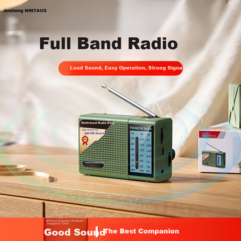 NINTAUS C38 Pure Radio