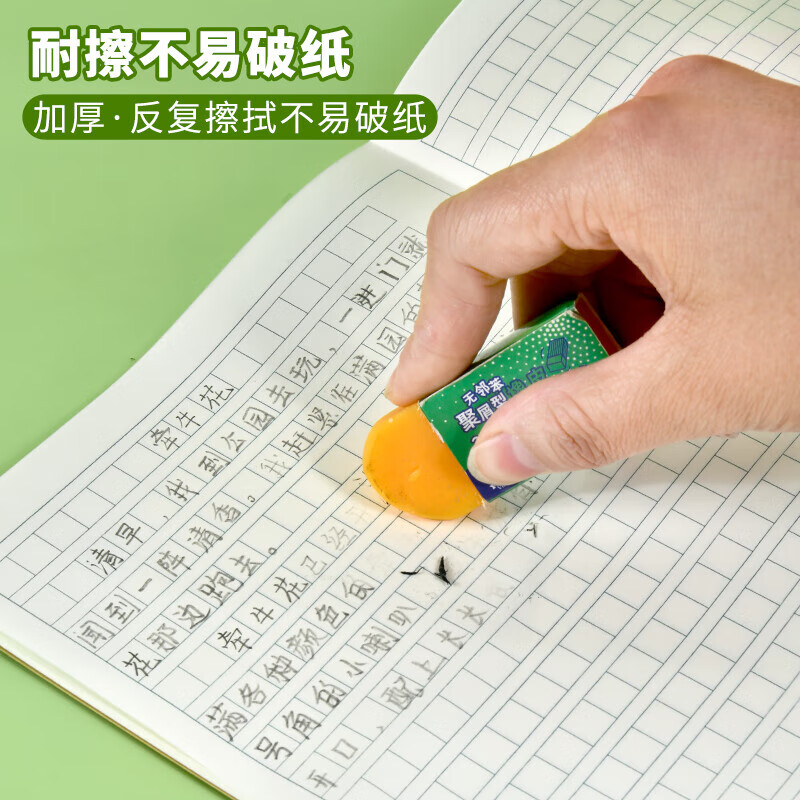 DiLe 22K Double-Line Notebook with Book Cover