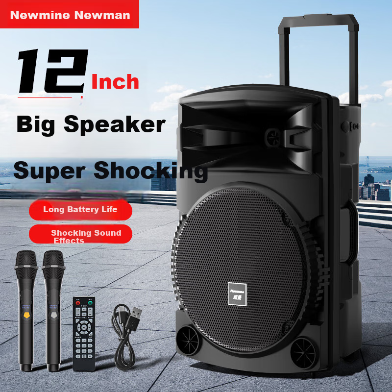 Newmine N521 Square Dance Speaker