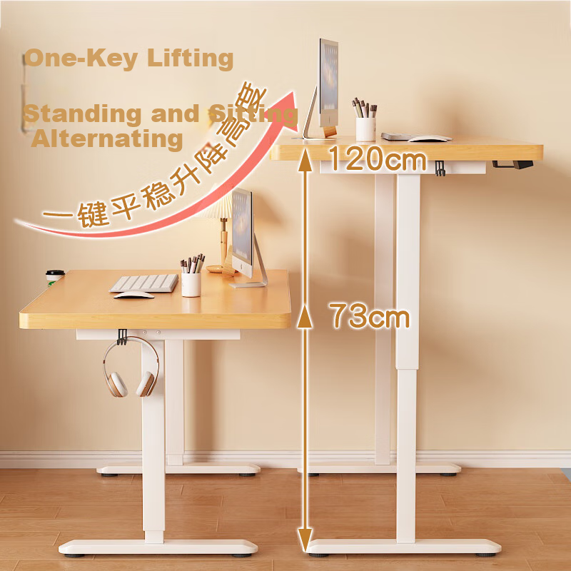 Anerya Electric Height Adjustable Desk