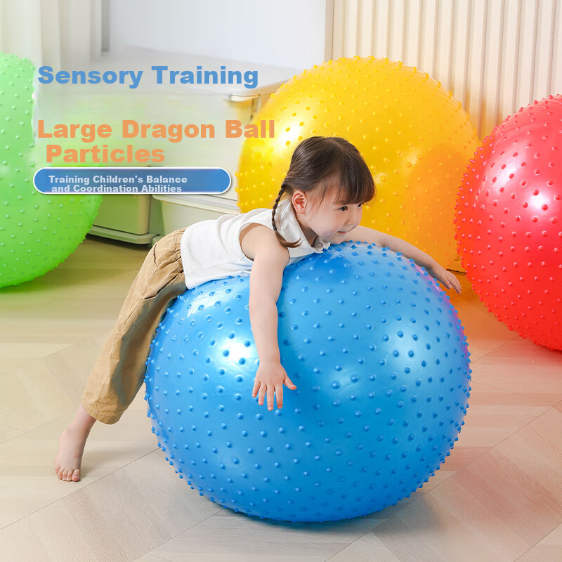 TaTanice Dragon Ball Sensory Trainer