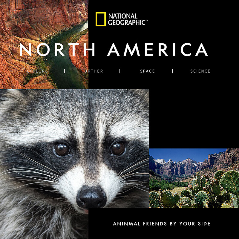 Aibeibei National Geographic Raccoon Plush