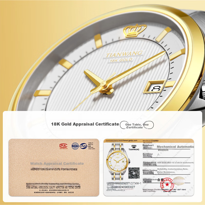 TIAN WANG 18K Gold Men's Watch with Steel Strap