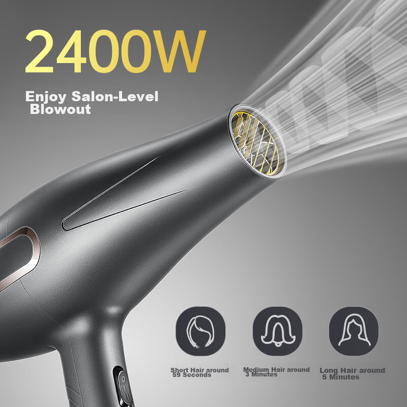 AUX Blue Light Negative Ion Hair Dryer 2400W for Salon & Home Use
