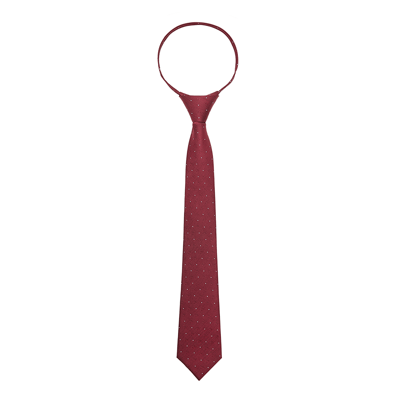 ROMON Men's Business Patterned Tie