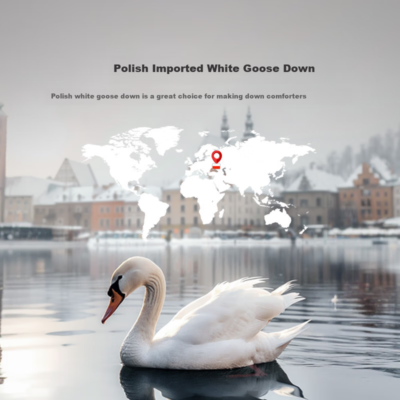 LUOLAI Winter Down Comforter 95% Goose Down