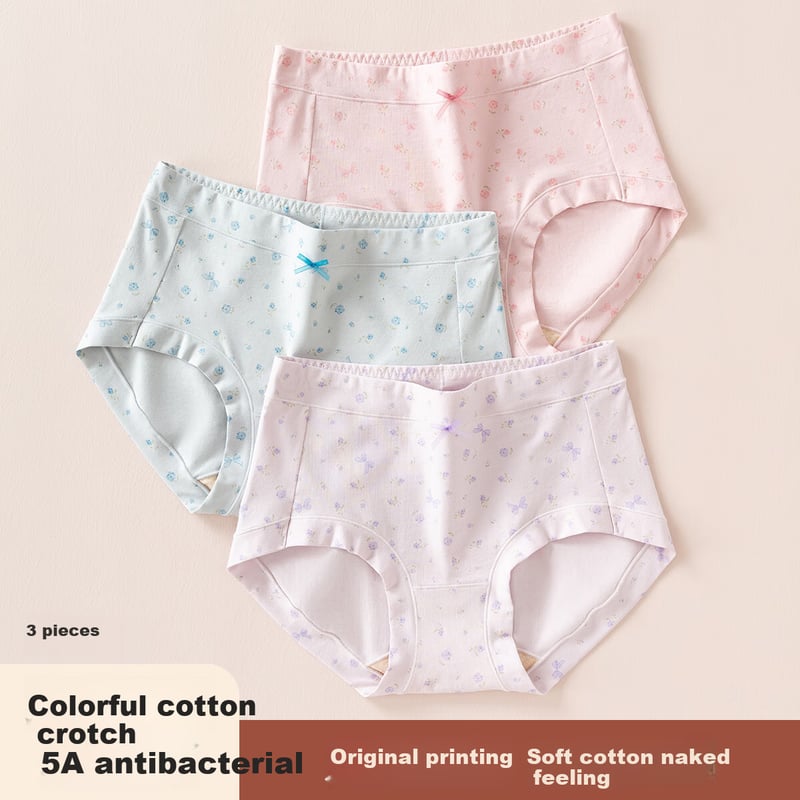 Dingguagua Women's Cotton High-Waist Underwear