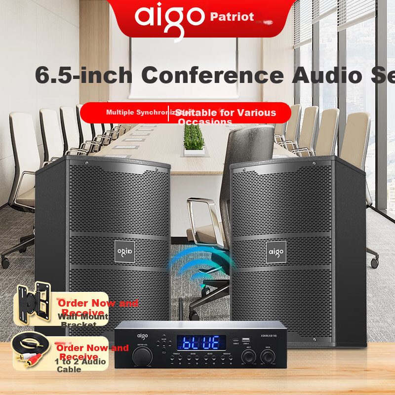 Aiguozhe Wireless 6.5" Wall Speakers with Equalizer