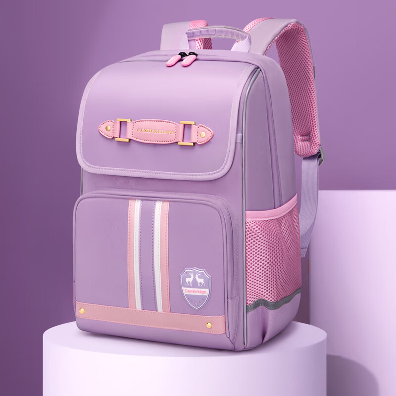Dijiuchengbao Spine-Protecting Backpack for Boys