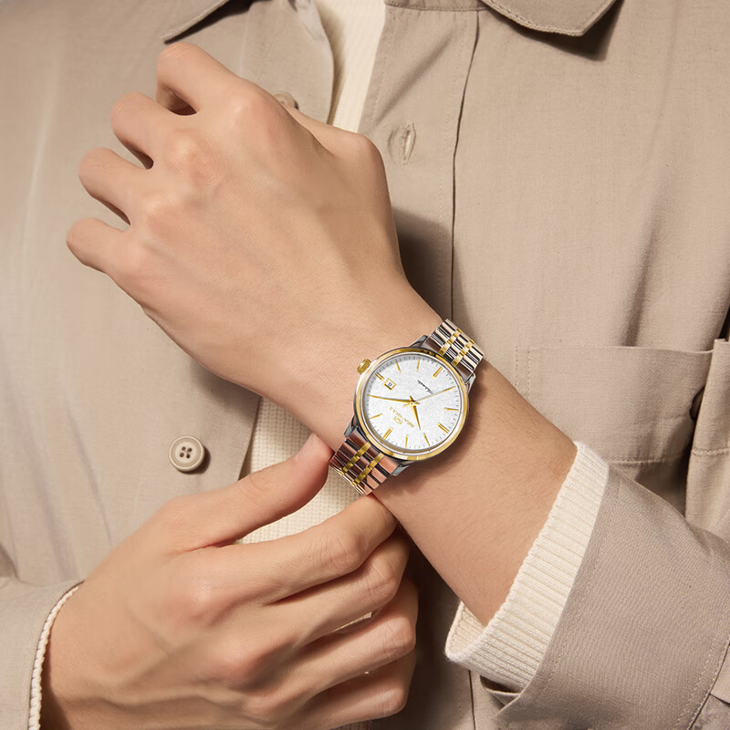 Seagull Men's Automatic Mechanical Watch with Gold Date Display