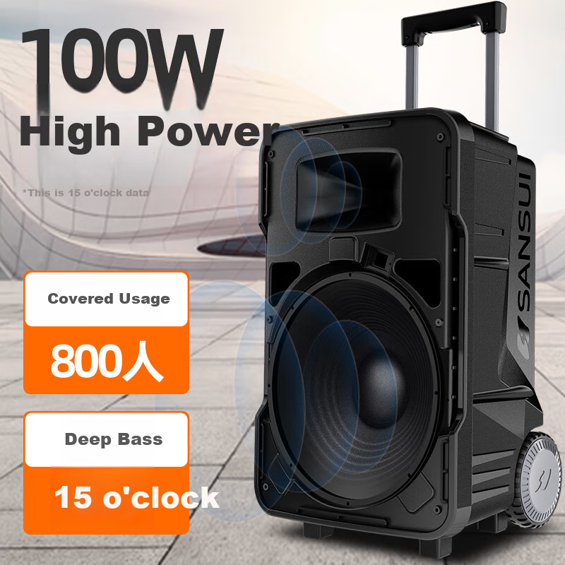 SANSUI TE06 Square Dance Speaker