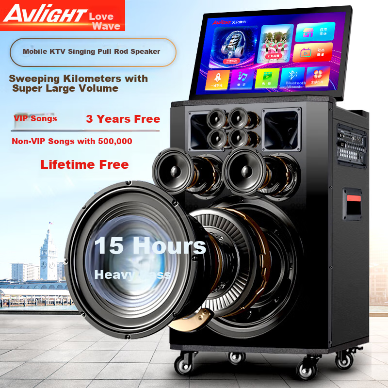 Ailang D15 Square Dance Speaker