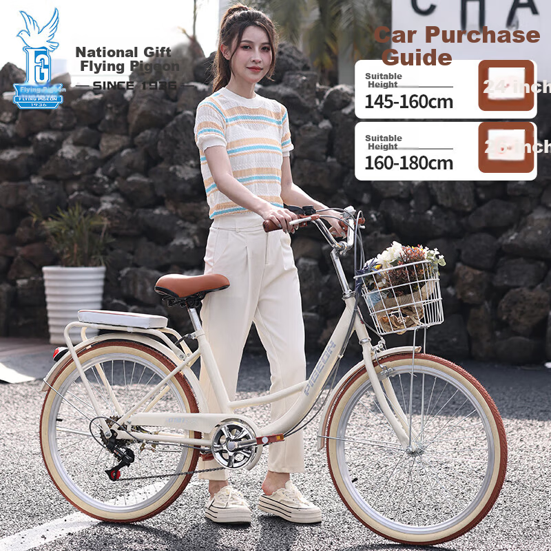 FG Flying Pigeon City Bicycle - 26-Inch Low-Step