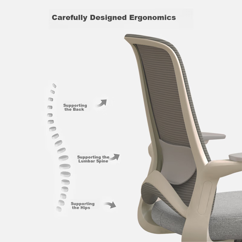 AURORA CELTW Dolphin Computer Chair