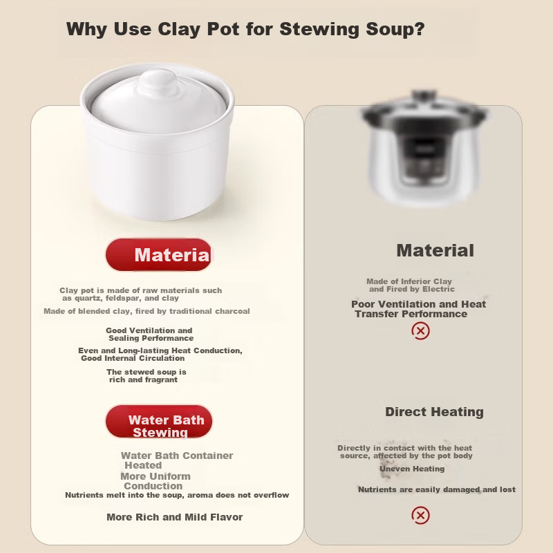 PINYU Ceramic Stew Pot with Double Boiler