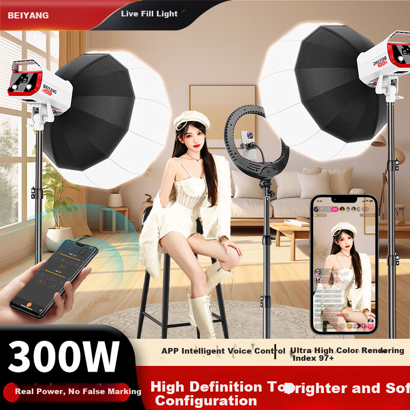 Beiyang 300W Studio Fill Light with Soft Light Ball