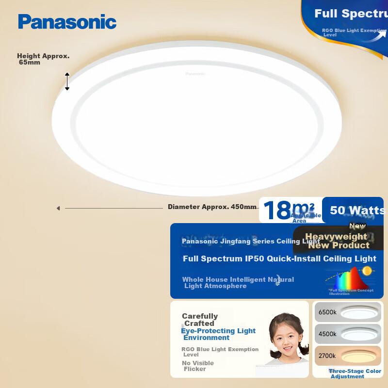 Panasonic RA97 Ceiling Light - 50W Waterproof Indoor Light