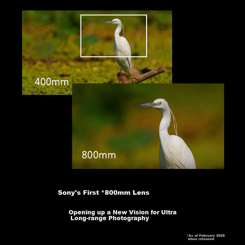 SONY FE 400-800mm Ultra-Telephoto Zoom Lens