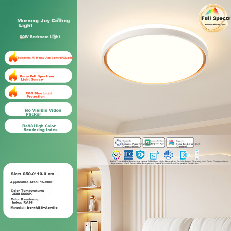 NVC Full Spectrum Eye-Protecting Ceiling Light