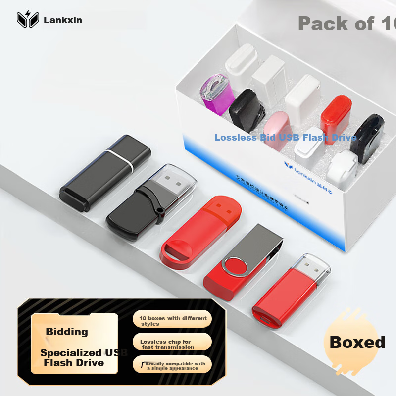 Lankexin Professional 256MB USB Drive