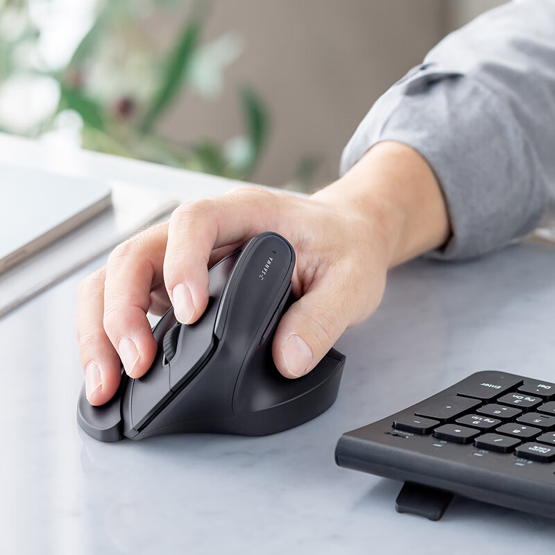 SANWA Shanye Ergonomic Wireless Mouse