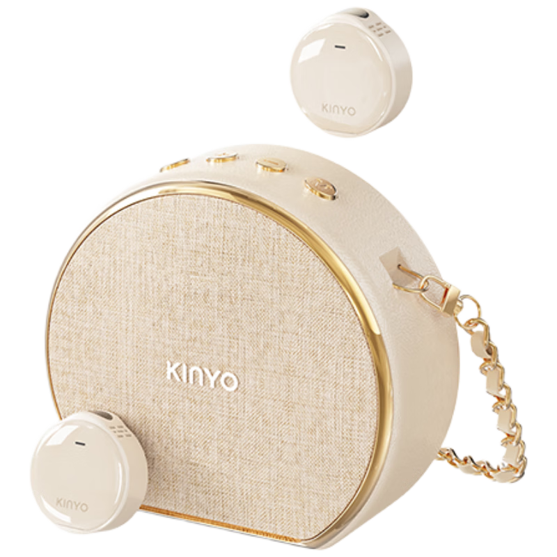 Jinyun Microphone Amplifier - Loud & Magnetic