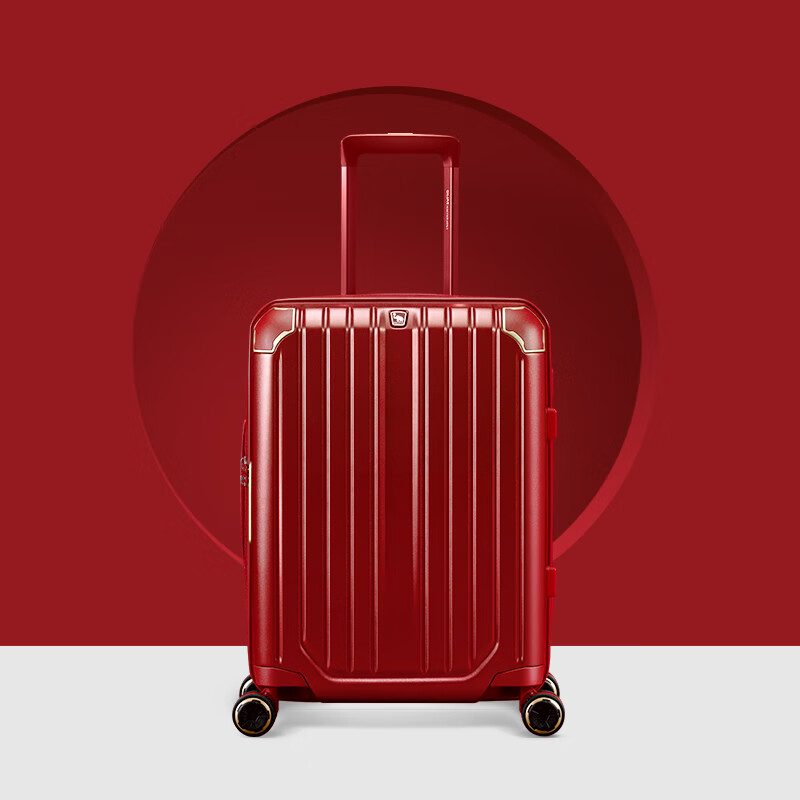 OWAS Guardian Luggage 20-Inch Suitcase