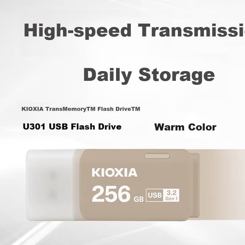 Kioxia Falcon USB Flash Drive 256GB