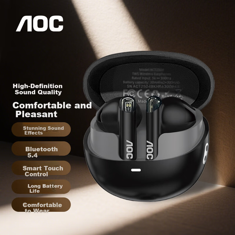 AOC Bluetooth In-Ear Earphones
