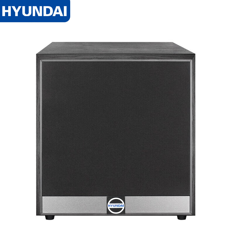 HYUNDAI 10-Inch Active Subwoofer for Powerful KTV & Home Theater