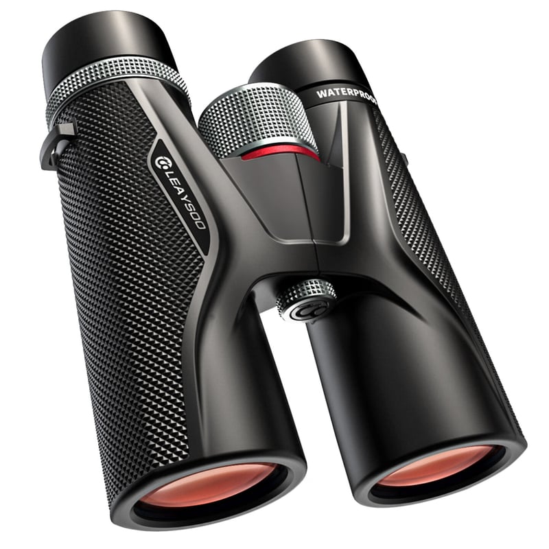 Leaysoo Jingying 10X42 High-Definition Binoculars