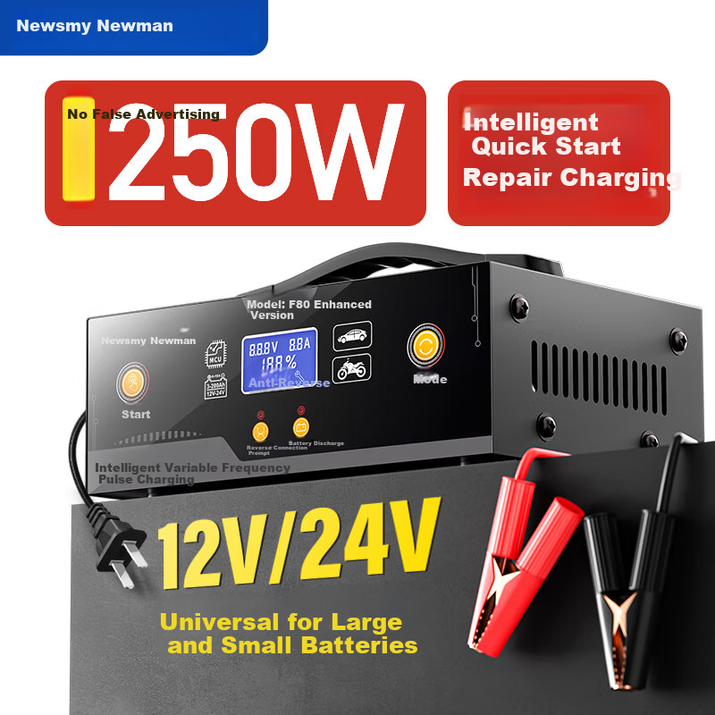 Newsmy Car Battery 220V Charger